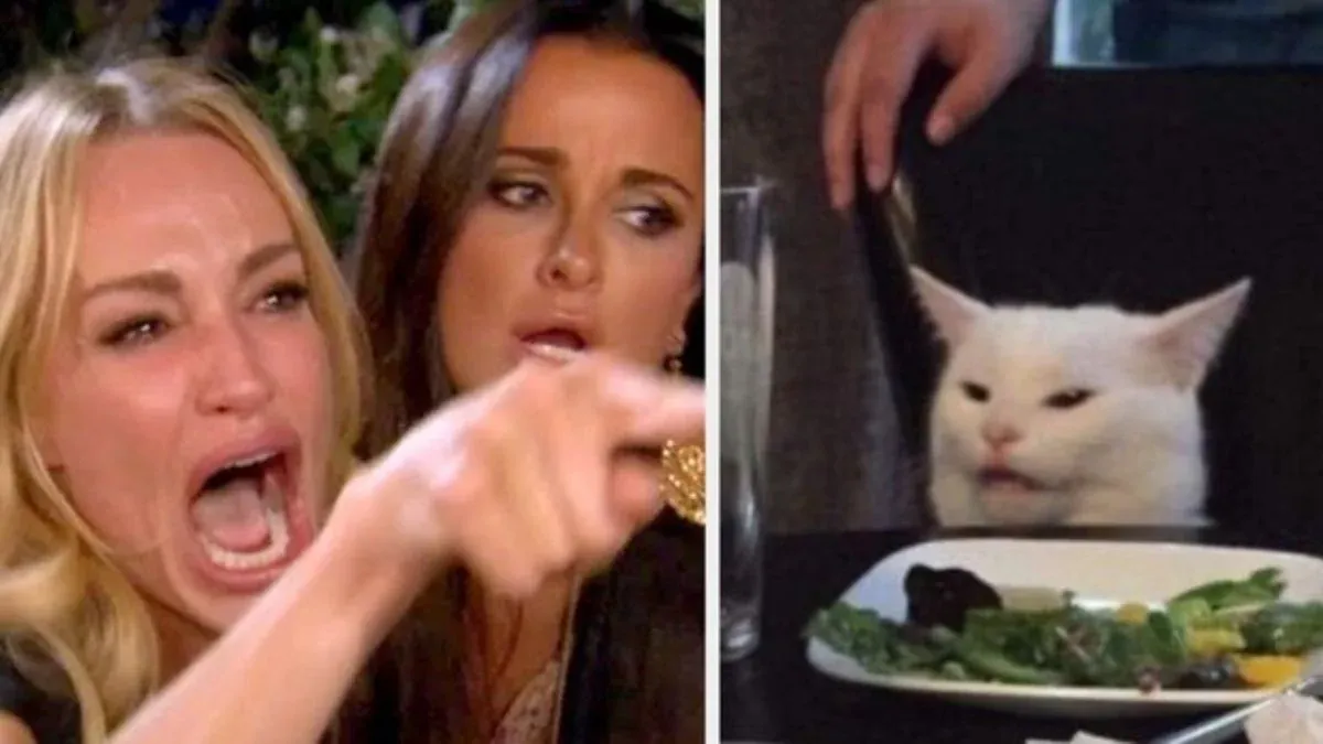 100+ ảnh meme cute đáng yêu, hài hước và sinh động · ảnh 3
