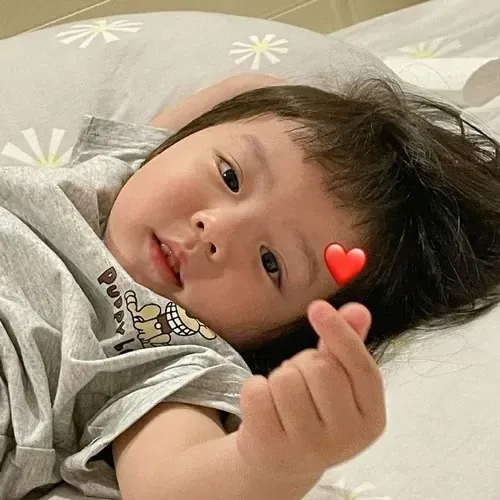 100+ ảnh meme cute đáng yêu, hài hước và sinh động