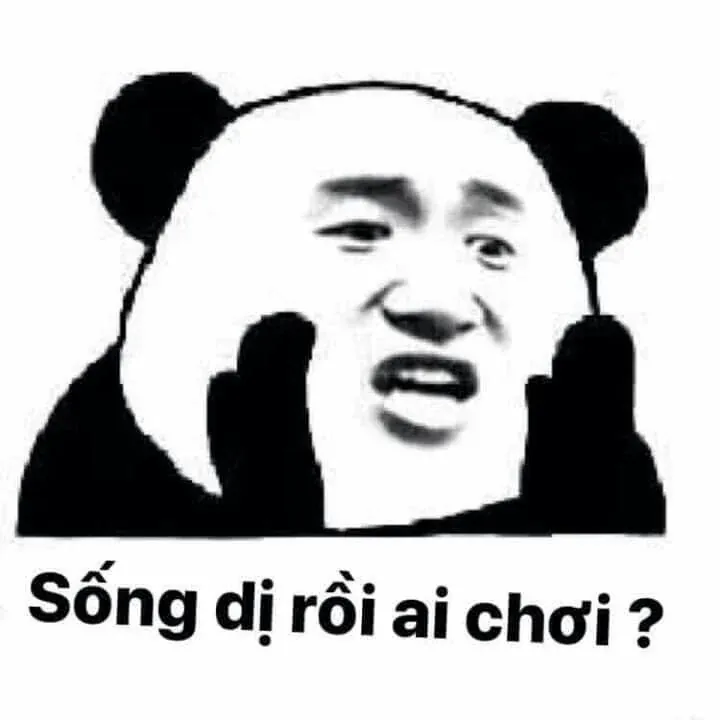 100+ ảnh meme hài bựa cực bá đạo