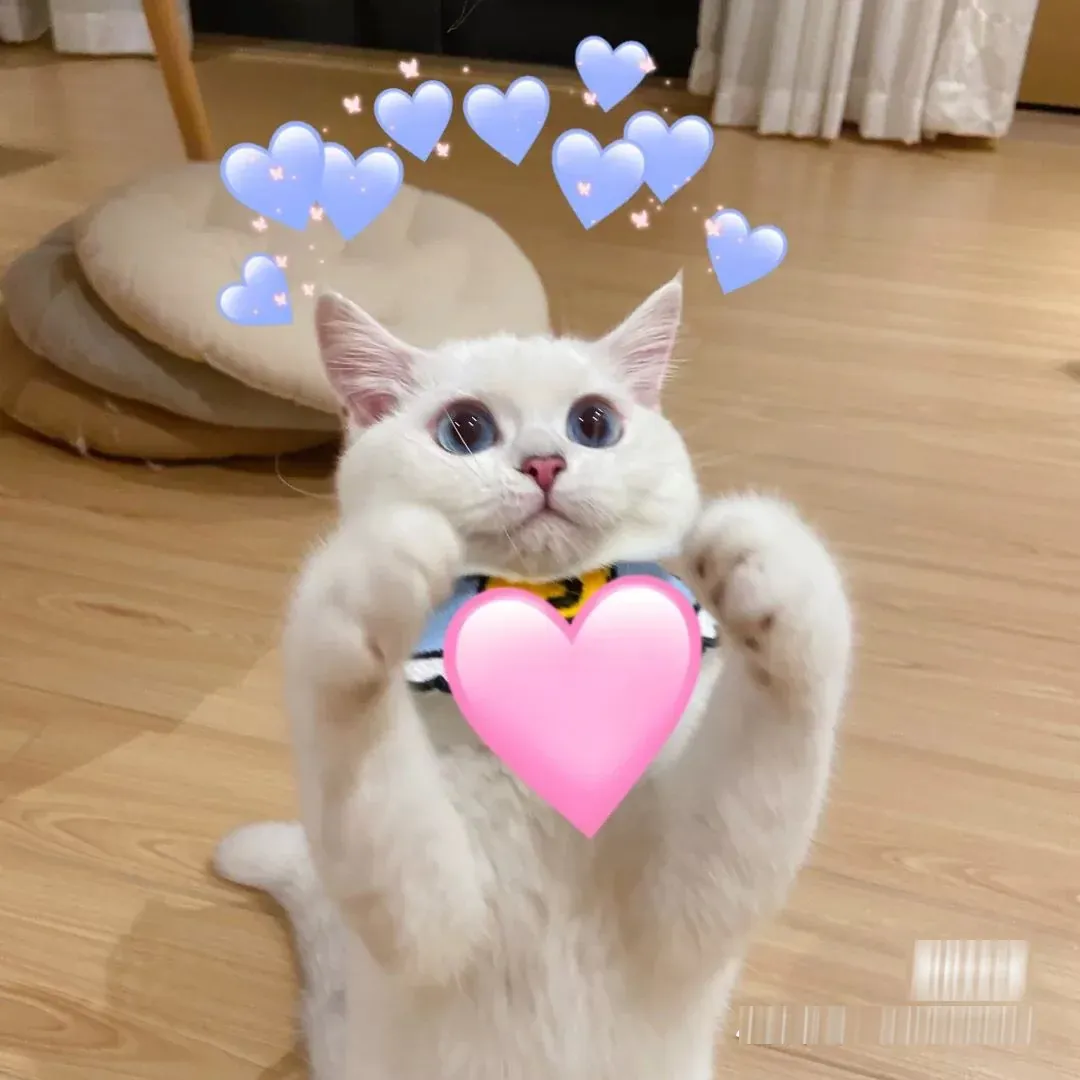 100+ hình ảnh meme vui nhộn, bắt trend cực chất · ảnh 1