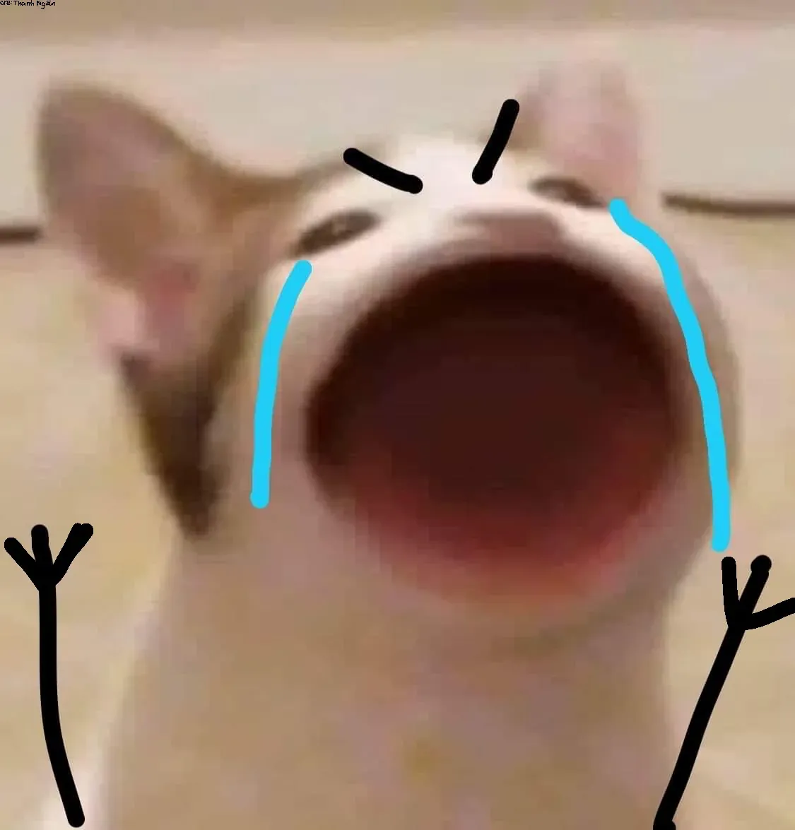 100+ hình ảnh meme vui nhộn, bắt trend cực chất · ảnh 2