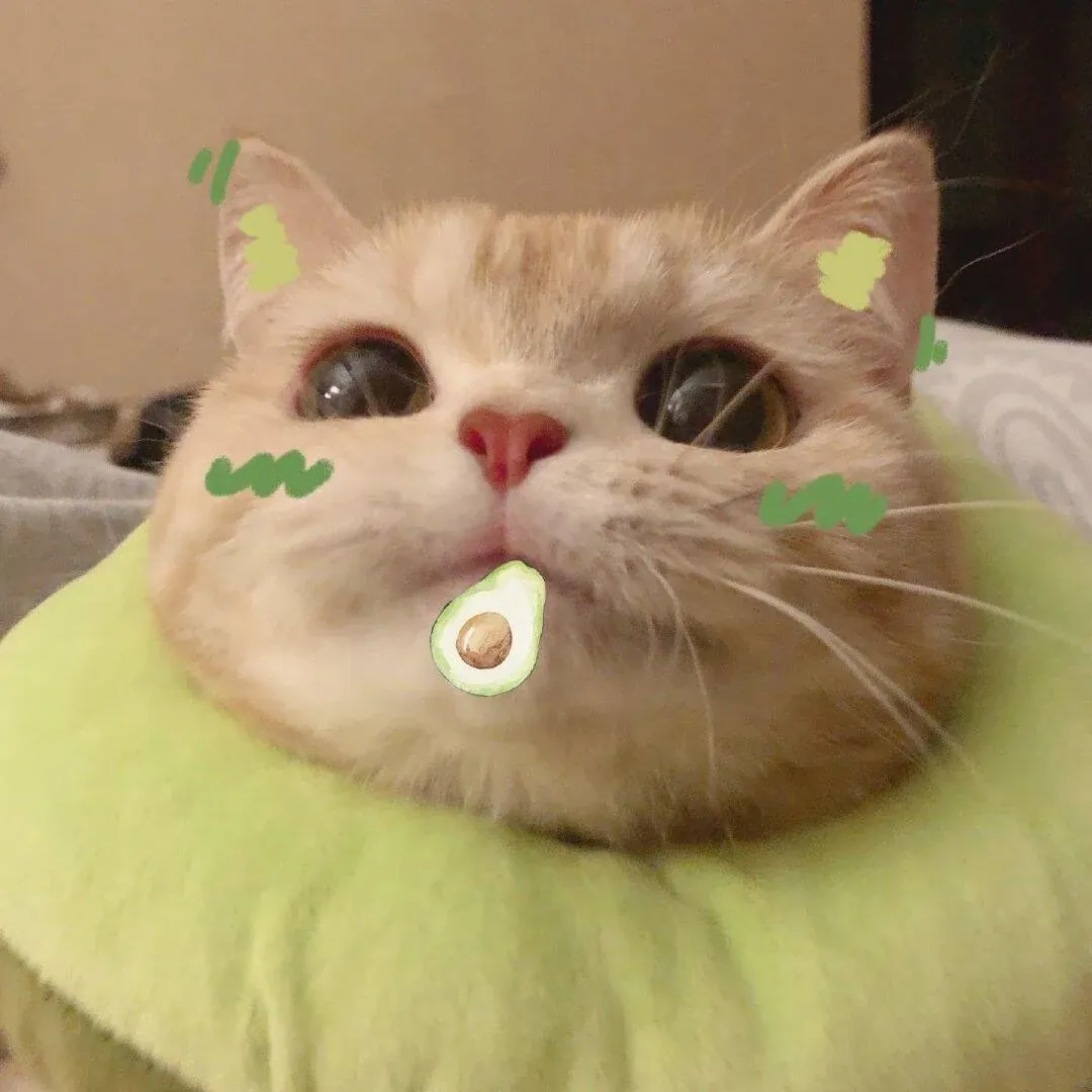 100+ hình ảnh meme vui nhộn, bắt trend cực chất · ảnh 3