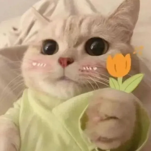 100+ hình ảnh meme vui nhộn, bắt trend cực chất