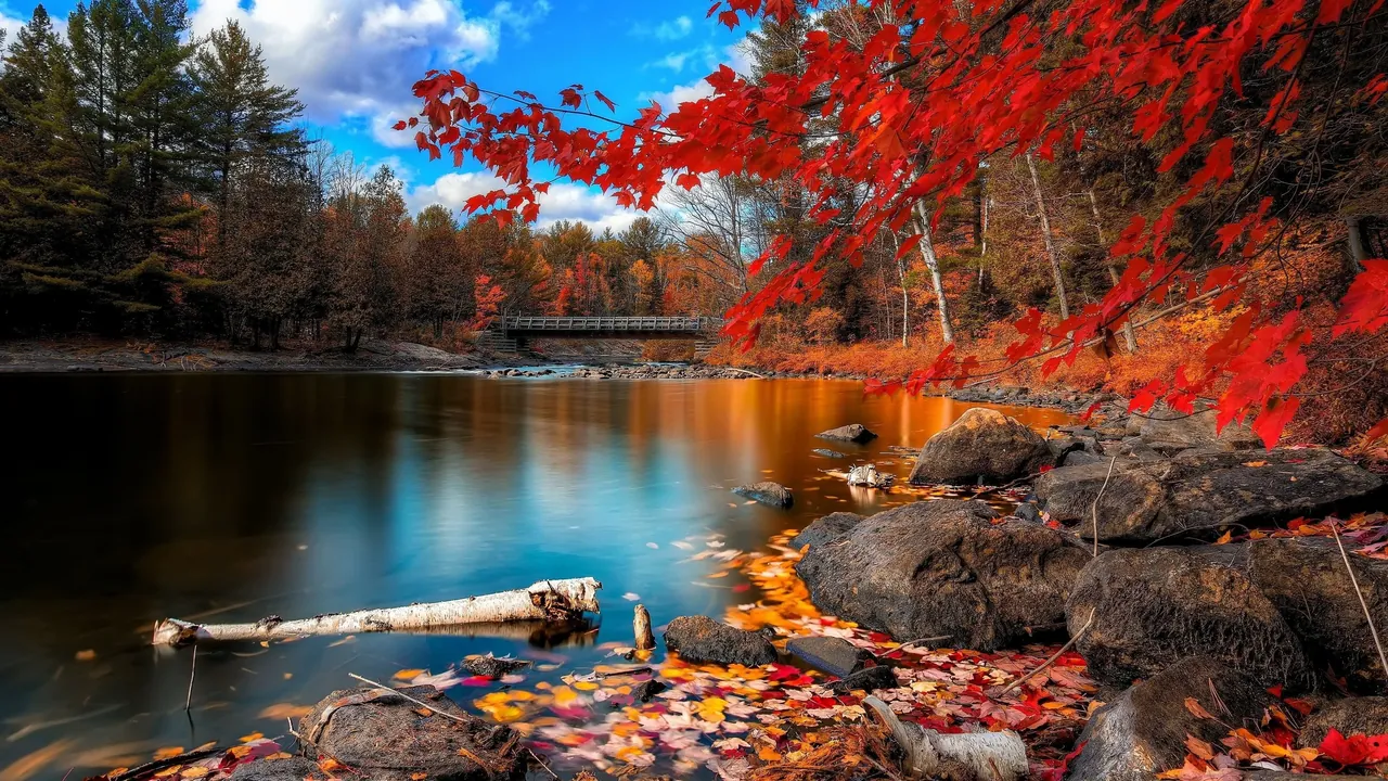 99+ Hình nền pc 4k đẹp nhất cho máy tính sắc nét mãn nhãn
