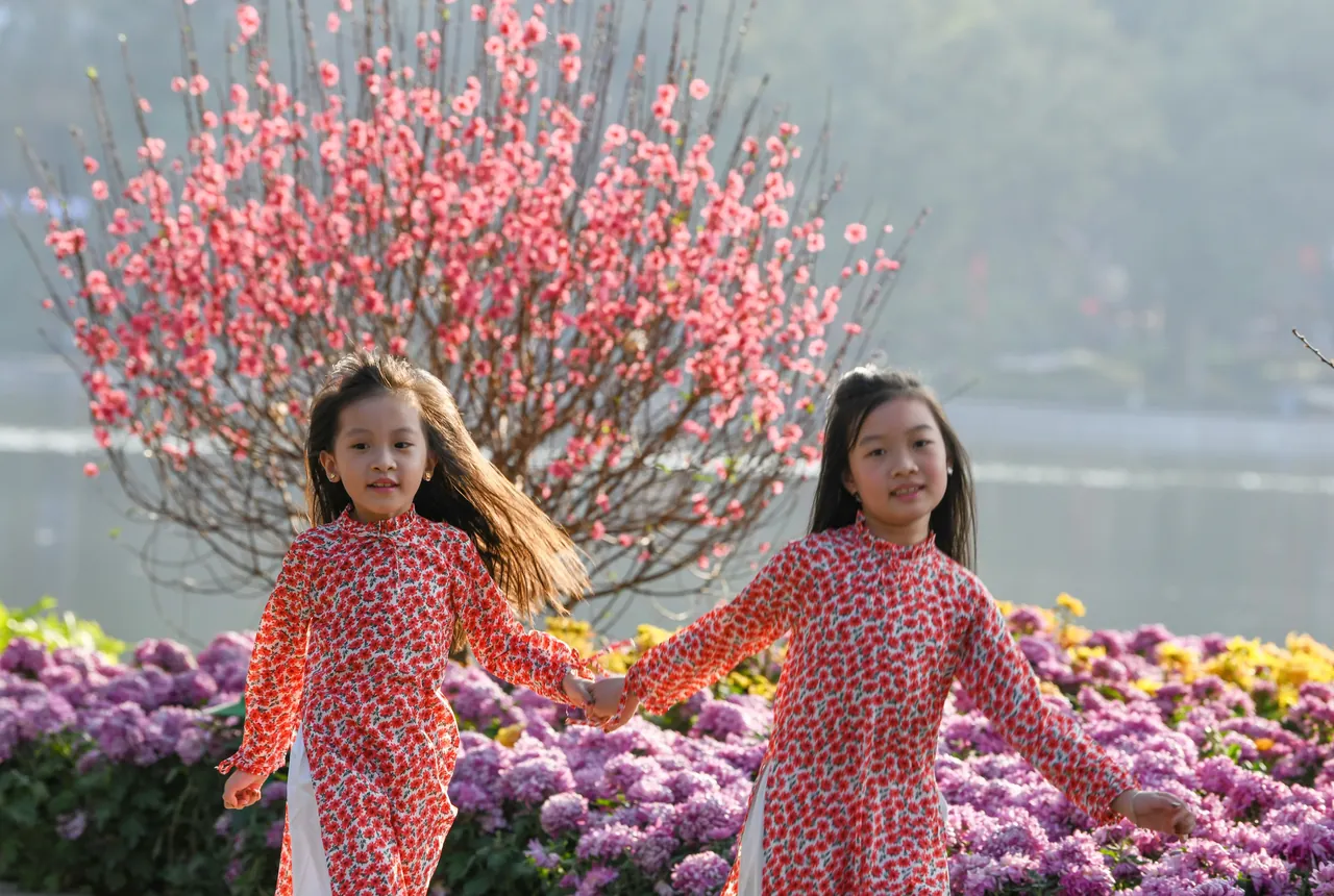 Hình Ảnh Mùa Xuân Đẹp Như Mơ, Tuyển Tập Ấn Tượng Cho Màn Hình Của Bạn · ảnh 3