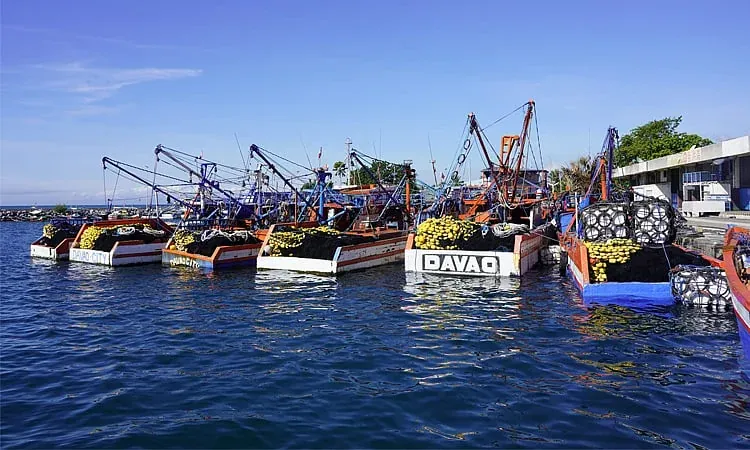 Tuyển tập top 36 ảnh đại diện đẹp ấn tượng · ảnh 1